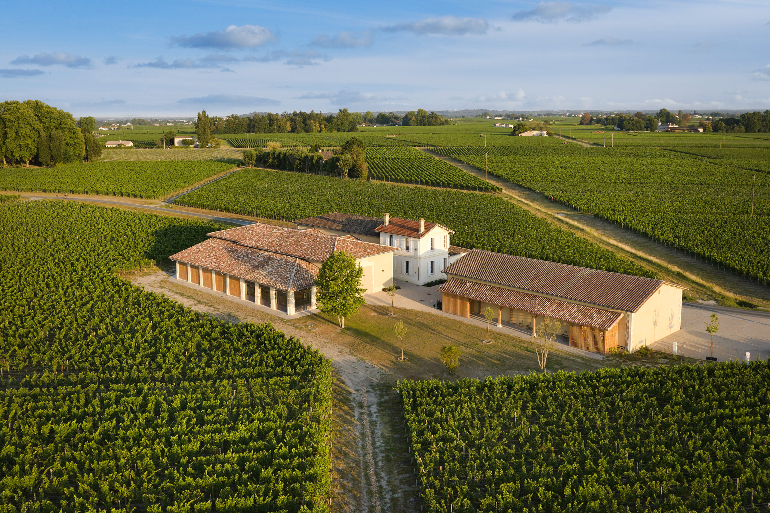 5 • Déjeuner vigneron «champignon & truffe »