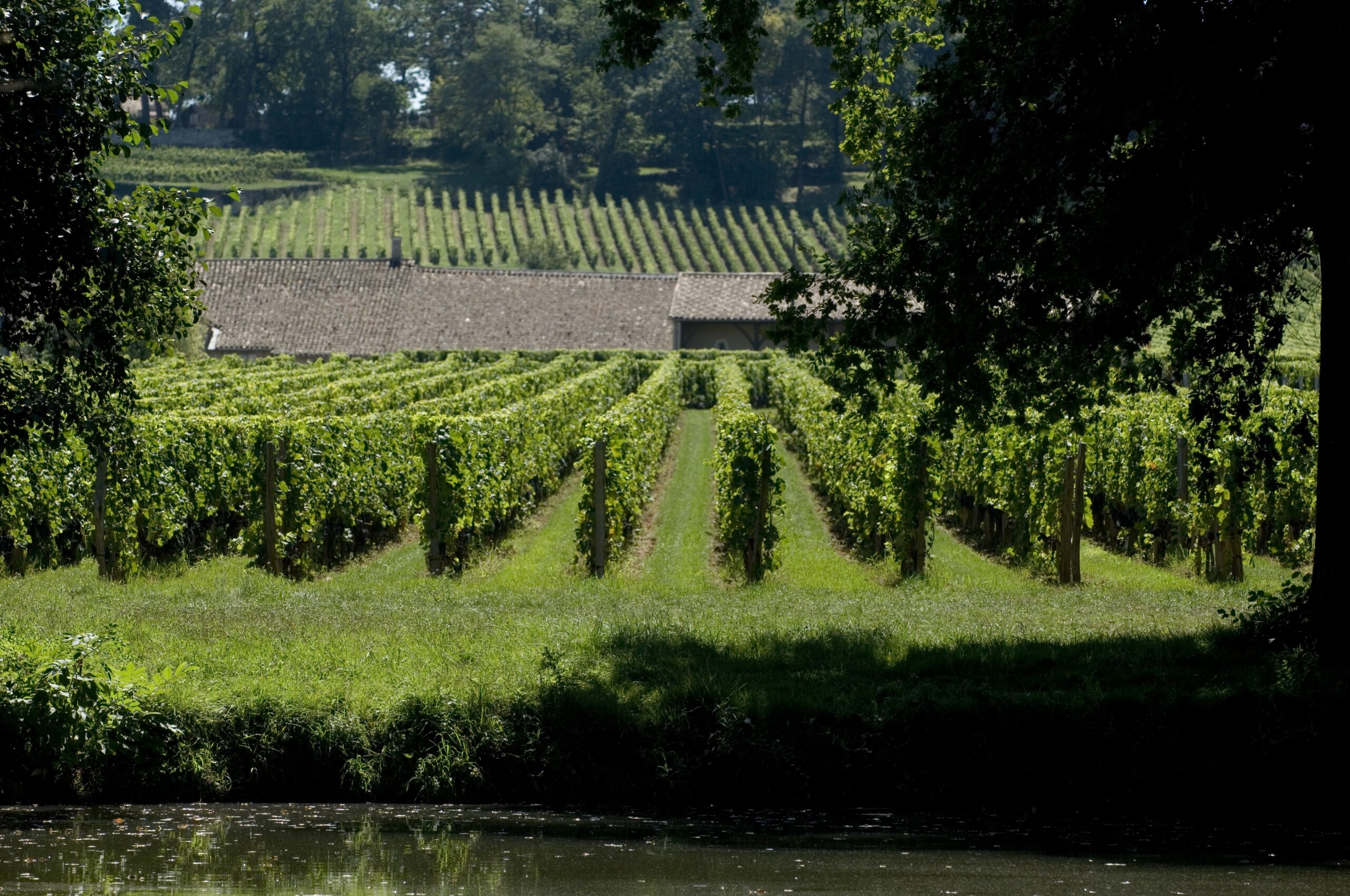 9 • Balade Agroforesterie